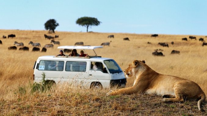 Affordable Volunteer Safari Kenya