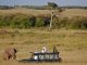 Tanzania Summer Volunteer Program