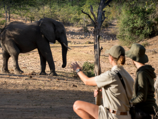 Conservation Volunteering Opportunities Abroad