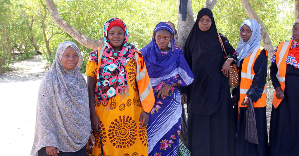 Zanzibar Women Volunteer Work