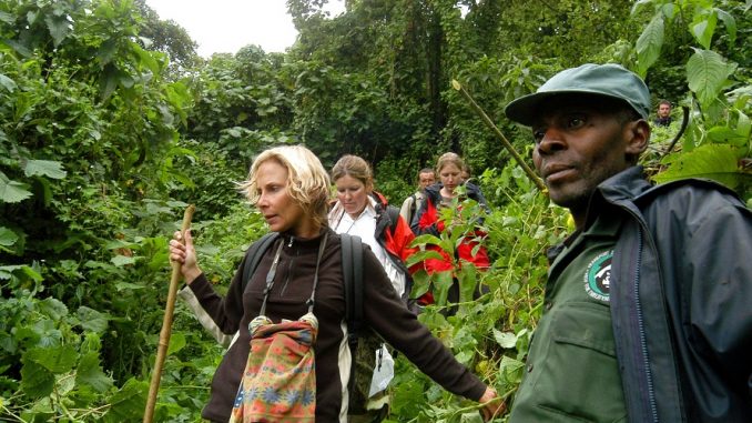 Volunteer in Democratic Republic of Congo