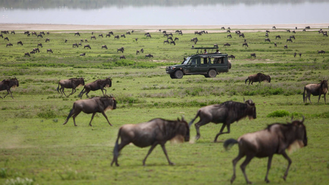 Masai Mara Kenya Safari