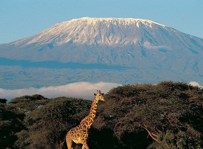Volunteer Activities Tanzania