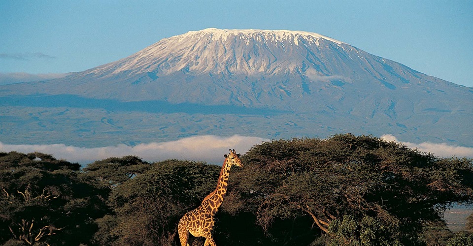 Safaris in Tanzania - Mt. Kilimanjaro