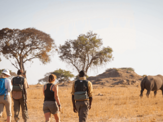Africa Volunteer Trips