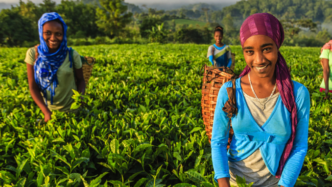 Zimbabwe women volunteer project