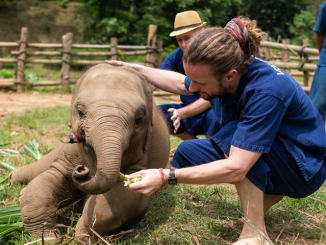 Volunteer in East Africa