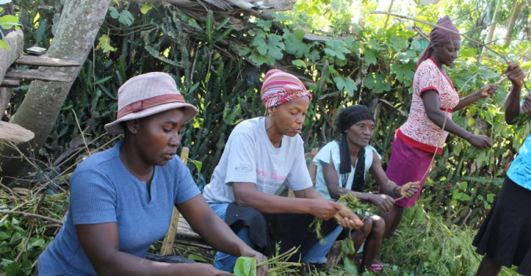 Volunteering in Ghana » Go Volunteer Africa