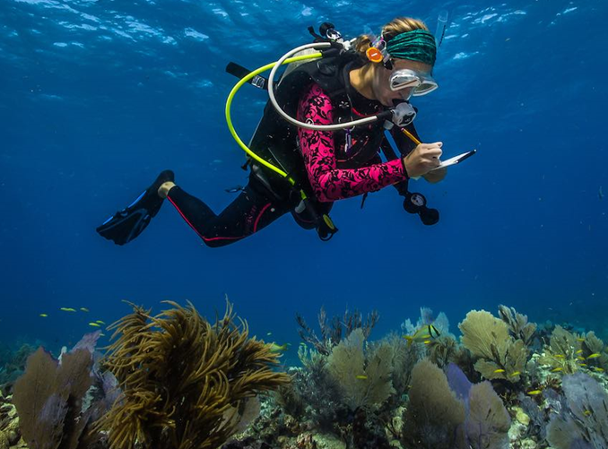 marine conservation volunteer program