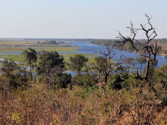 Zambia Conservation Volunteer Project